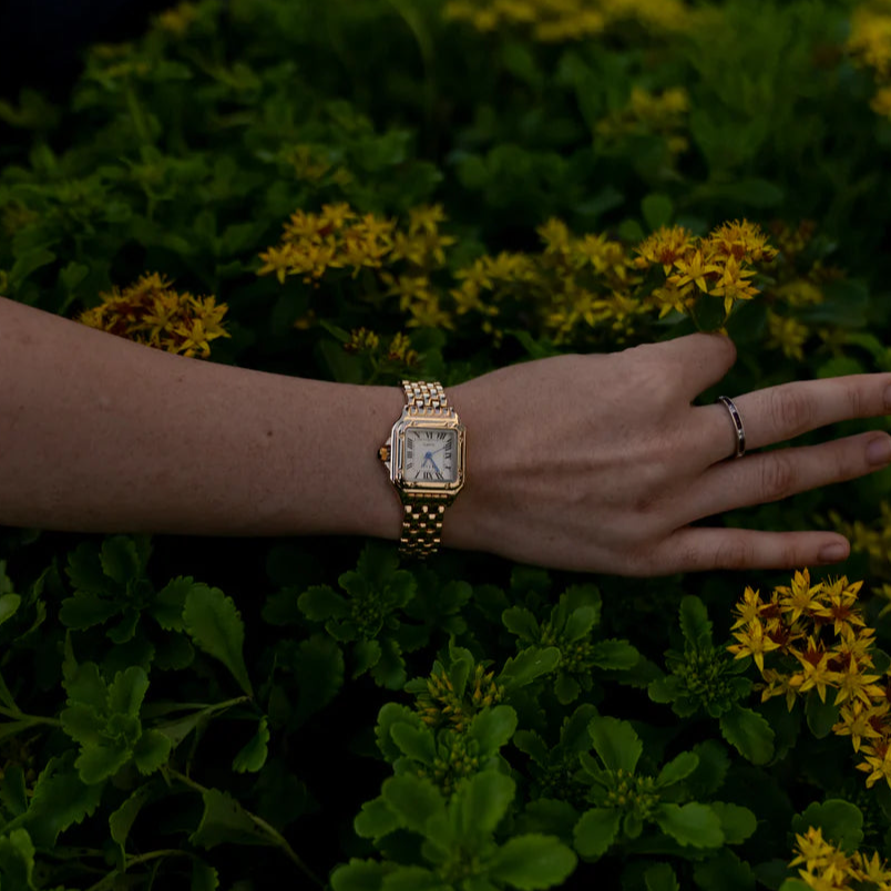 Myrna | Fashionable Square Watch